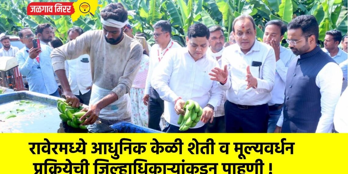 रावेरमध्ये आधुनिक केळी शेती व मूल्यवर्धन प्रक्रियेची जिल्हाधिकाऱ्यांकडून पाहणी !