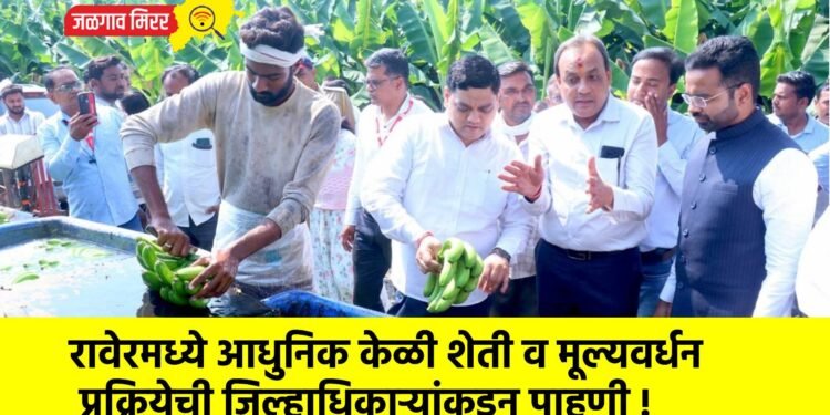 रावेरमध्ये आधुनिक केळी शेती व मूल्यवर्धन प्रक्रियेची जिल्हाधिकाऱ्यांकडून पाहणी !