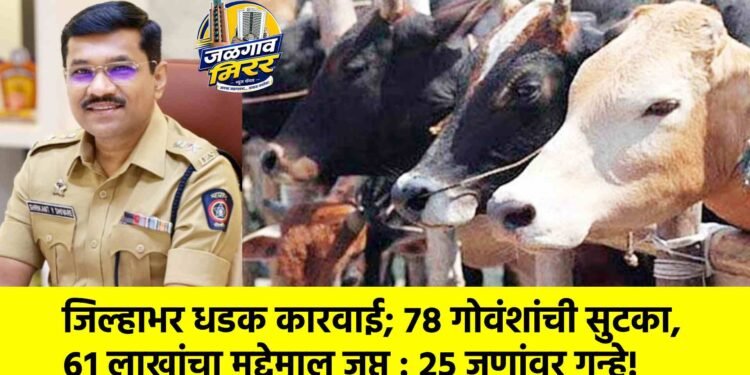 जिल्हाभर धडक कारवाई; ७८ गोवंशांची सुटका, ६१ लाखांचा मुद्देमाल जप्त : २५ जणांवर गुन्हे!