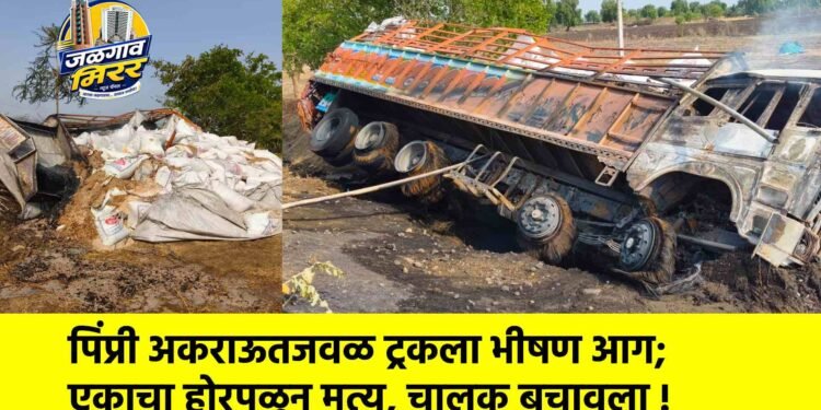 पिंप्री अकराऊतजवळ ट्रकला भीषण आग; एकाचा होरपळून मृत्यू, चालक बचावला !