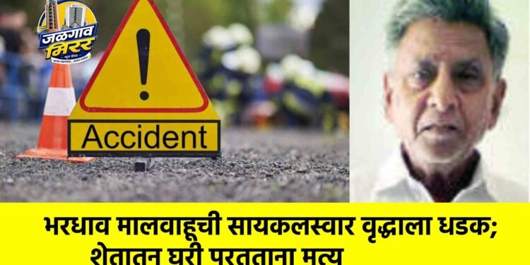 भरधाव मालवाहूची सायकलस्वार वृद्धाला धडक; शेतातून घरी परतताना मृत्यू