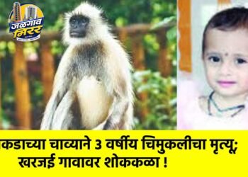 माकडाच्या चाव्याने ३ वर्षीय चिमुकलीचा मृत्यू; खरजई गावावर शोककळा !