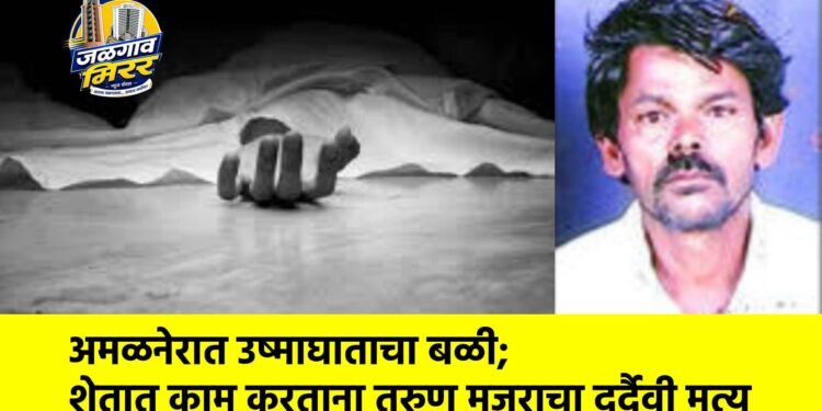 अमळनेरात उष्माघाताचा बळी; शेतात काम करताना तरुण मजुराचा दुर्दैवी मृत्यू