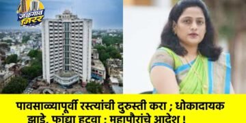 पावसाळ्यापूर्वी रस्त्यांची दुरुस्ती करा ; धोकादायक झाडे, फांद्या हटवा ; महापौरांचे आदेश !