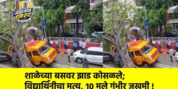 शाळेच्या बसवर झाड कोसळले; विद्यार्थिनीचा मृत्यू, १० मुले गंभीर जखमी !