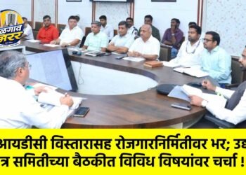 एमआयडीसी विस्तारासह रोजगारनिर्मितीवर भर; उद्योग मित्र समितीच्या बैठकीत विविध विषयांवर चर्चा !