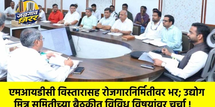 एमआयडीसी विस्तारासह रोजगारनिर्मितीवर भर; उद्योग मित्र समितीच्या बैठकीत विविध विषयांवर चर्चा !