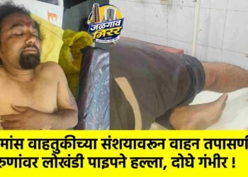 गौमांस वाहतुकीच्या संशयावरून वाहन तपासणी; तरुणांवर लोखंडी पाइपने हल्ला, दोघे गंभीर !