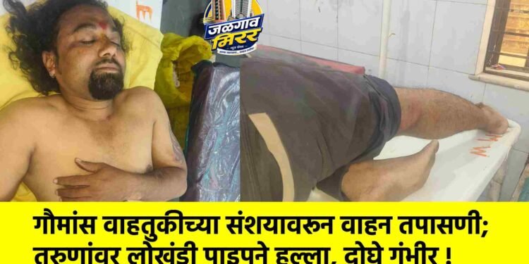 गौमांस वाहतुकीच्या संशयावरून वाहन तपासणी; तरुणांवर लोखंडी पाइपने हल्ला, दोघे गंभीर !