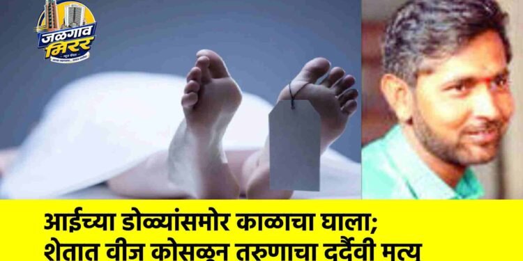 आईच्या डोळ्यांसमोर काळाचा घाला; शेतात वीज कोसळून तरुणाचा दुर्दैवी मृत्यू