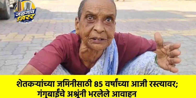 शेतकऱ्यांच्या जमिनीसाठी ८५ वर्षांच्या आजी रस्त्यावर; गंगुबाईंचे अश्रूंनी भरलेले आवाहन