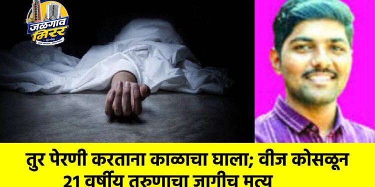 तुर पेरणी करताना काळाचा घाला; वीज कोसळून २१ वर्षीय तरुणाचा जागीच मृत्यू