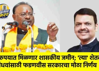 १ रुपयात मिळणार शासकीय जमीन; ‘त्या’ शेतकरी विधवांसाठी फडणवीस सरकारचा मोठा निर्णय