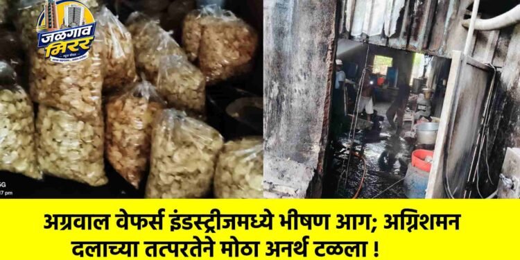 अग्रवाल वेफर्स इंडस्ट्रीजमध्ये भीषण आग; अग्निशमन दलाच्या तत्परतेने मोठा अनर्थ टळला !
