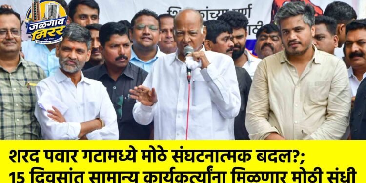 शरद पवार गटामध्ये मोठे संघटनात्मक बदल?; १५ दिवसांत सामान्य कार्यकर्त्यांना मिळणार मोठी संधी