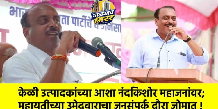 केळी उत्पादकांच्या आशा नंदकिशोर महाजनांवर; महायुतीच्या उमेदवाराचा जनसंपर्क दौरा जोमात !