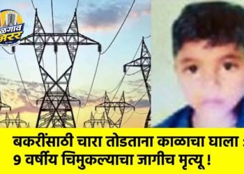बकरींसाठी चारा तोडताना काळाचा घाला :९ वर्षीय चिमुकल्याचा जागीच मृत्यू !