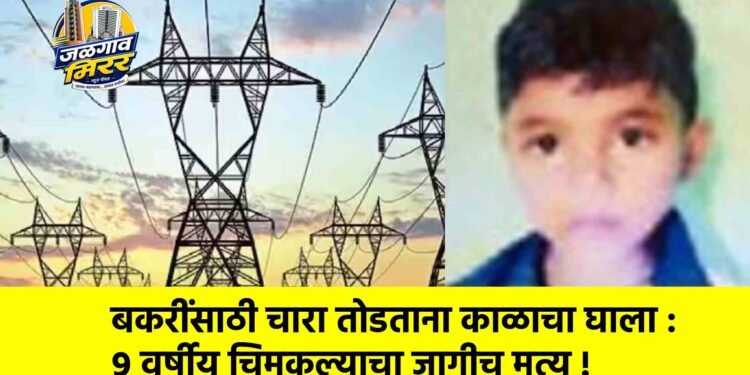 बकरींसाठी चारा तोडताना काळाचा घाला :९ वर्षीय चिमुकल्याचा जागीच मृत्यू !