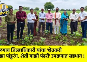 जळगाव जिल्हाधिकारी यांचा ‘शेतकरी माझा पांडुरंग, शेती माझी पंढरी’ उपक्रमात सहभाग !