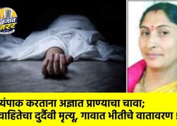 स्वयंपाक करताना अज्ञात प्राण्याचा चावा; विवाहितेचा दुर्दैवी मृत्यू, गावात भीतीचे वातावरण !