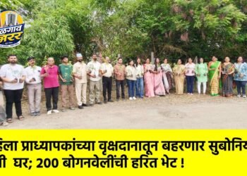 महिला प्राध्यापकांच्या वृक्षदानातून बहरणार सुबोनियो पक्षी घर; २०० बोगनवेलींची हरित भेट !