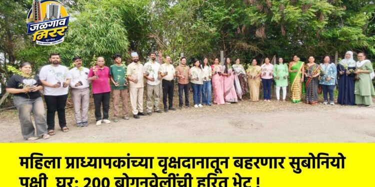 महिला प्राध्यापकांच्या वृक्षदानातून बहरणार सुबोनियो पक्षी घर; २०० बोगनवेलींची हरित भेट !
