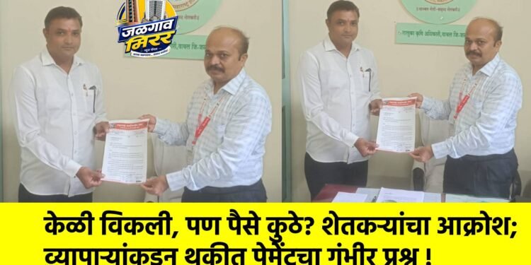 केळी विकली, पण पैसे कुठे? शेतकऱ्यांचा आक्रोश; व्यापाऱ्यांकडून थकीत पेमेंटचा गंभीर प्रश्न !