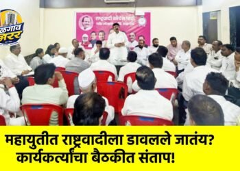 महायुतीत राष्ट्रवादीला डावलले जातंय? कार्यकर्त्यांचा बैठकीत संताप!