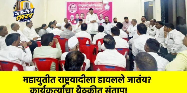महायुतीत राष्ट्रवादीला डावलले जातंय? कार्यकर्त्यांचा बैठकीत संताप!