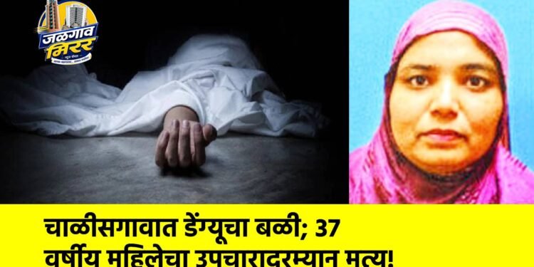 चाळीसगावात डेंग्यूचा बळी; ३७ वर्षीय महिलेचा उपचारादरम्यान मृत्यू!