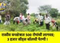राखीव वनक्षेत्रात ५०० रोपांची लागवड; ३ हजार सीड्स बॉलची पेरणी !