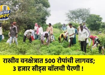 राखीव वनक्षेत्रात ५०० रोपांची लागवड; ३ हजार सीड्स बॉलची पेरणी !