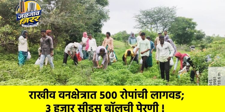 राखीव वनक्षेत्रात ५०० रोपांची लागवड; ३ हजार सीड्स बॉलची पेरणी !