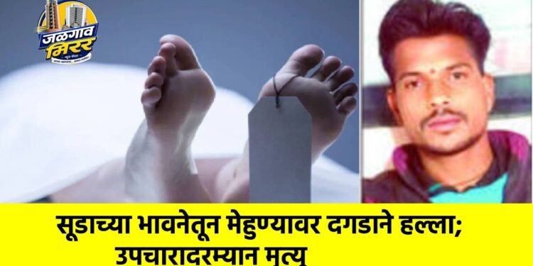 सूडाच्या भावनेतून मेहुण्यावर दगडाने हल्ला; उपचारादरम्यान मृत्यू
