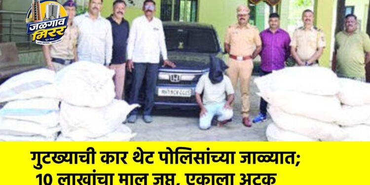गुटख्याची कार थेट पोलिसांच्या जाळ्यात; १० लाखांचा माल जप्त, एकाला अटक