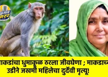 माकडांचा धुमाकूळ ठरला जीवघेणा ; माकडाच्या उडीने जखमी महिलेचा दुर्देवी मृत्यू!