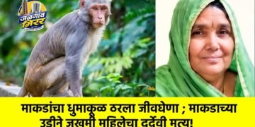 माकडांचा धुमाकूळ ठरला जीवघेणा ; माकडाच्या उडीने जखमी महिलेचा दुर्देवी मृत्यू!