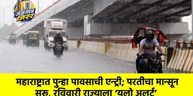 महाराष्ट्रात पुन्हा पावसाची एन्ट्री; परतीचा मान्सून सुरू, रविवारी राज्याला ‘यलो अलर्ट’