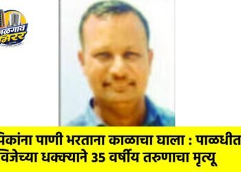 पिकांना पाणी भरताना काळाचा घाला : पाळधीत विजेच्या धक्क्याने ३५ वर्षीय तरुणाचा मृत्यू