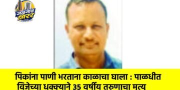 पिकांना पाणी भरताना काळाचा घाला : पाळधीत विजेच्या धक्क्याने ३५ वर्षीय तरुणाचा मृत्यू