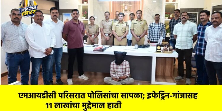एमआयडीसी परिसरात पोलिसांचा सापळा; इफेड्रिन-गांजासह ११ लाखांचा मुद्देमाल हाती