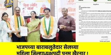 भाजपच्या बाराबलुतेदार सेलच्या महिला जिल्हाध्यक्षपदी पूनम खैरनार !