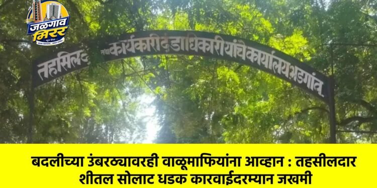 बदलीच्या उंबरठ्यावरही वाळूमाफियांना आव्हान : तहसीलदार शीतल सोलाट धडक कारवाईदरम्यान जखमी