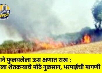 कष्टाने फुलवलेला ऊस क्षणात राख : महिला शेतकऱ्याचे मोठे नुकसान, भरपाईची मागणी !