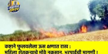 कष्टाने फुलवलेला ऊस क्षणात राख : महिला शेतकऱ्याचे मोठे नुकसान, भरपाईची मागणी !